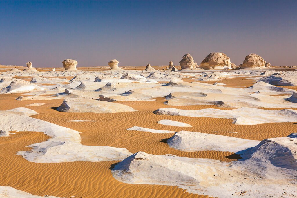البرامج السياحية 8 51021094118_a0cda4ee6a_o-1024x683